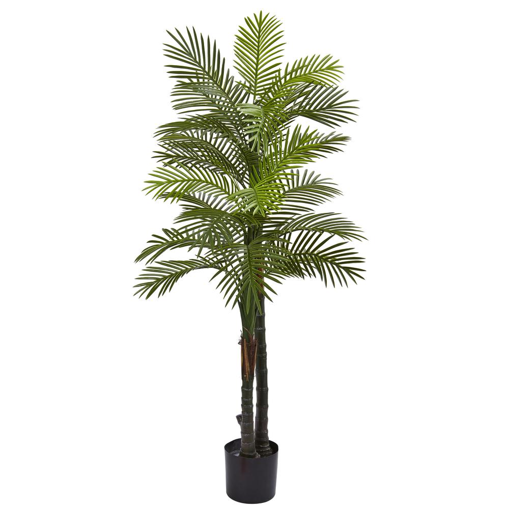5.5ft. Double Robellini Palm Tree UV Resistant (Indoor/Outdoor). Picture 1