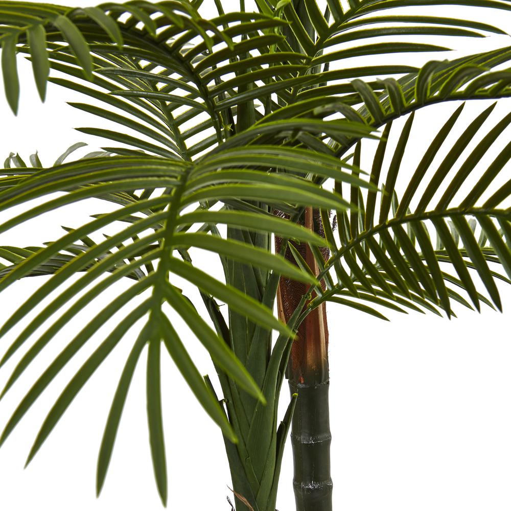 5.5ft. Double Robellini Palm Tree UV Resistant (Indoor/Outdoor). Picture 3