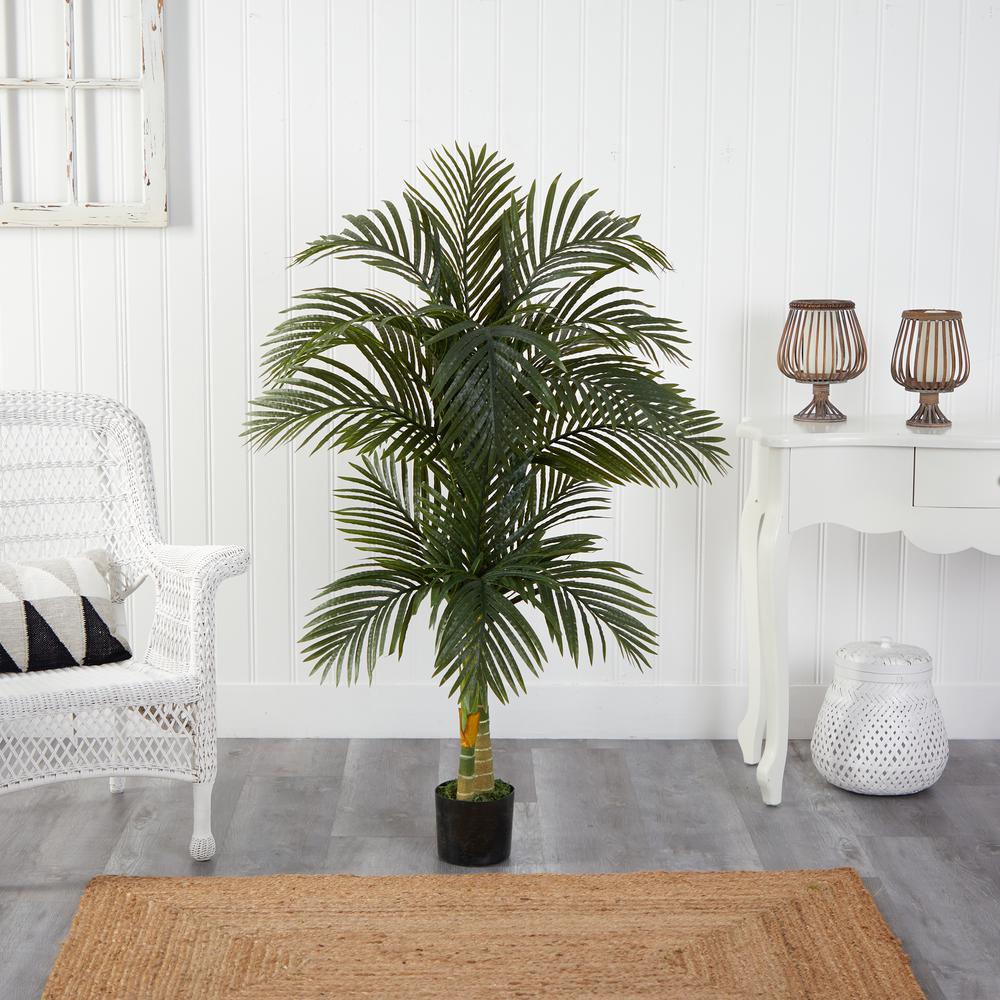 5.5ft. Double Robellini Palm Tree UV Resistant (Indoor/Outdoor). Picture 4
