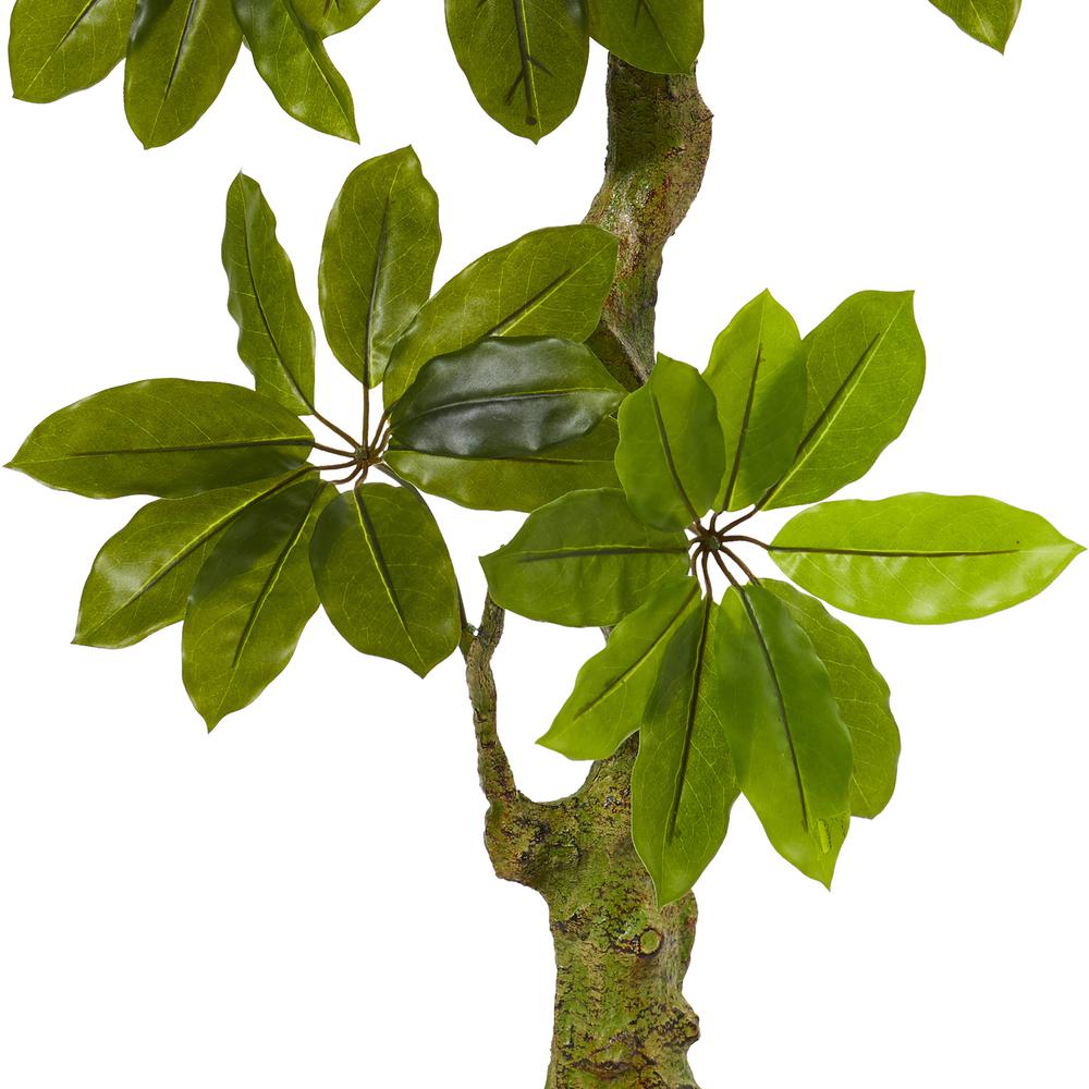 Schefflera Artificial Tree UV Resistant (Indoor/Outdoor). Picture 3
