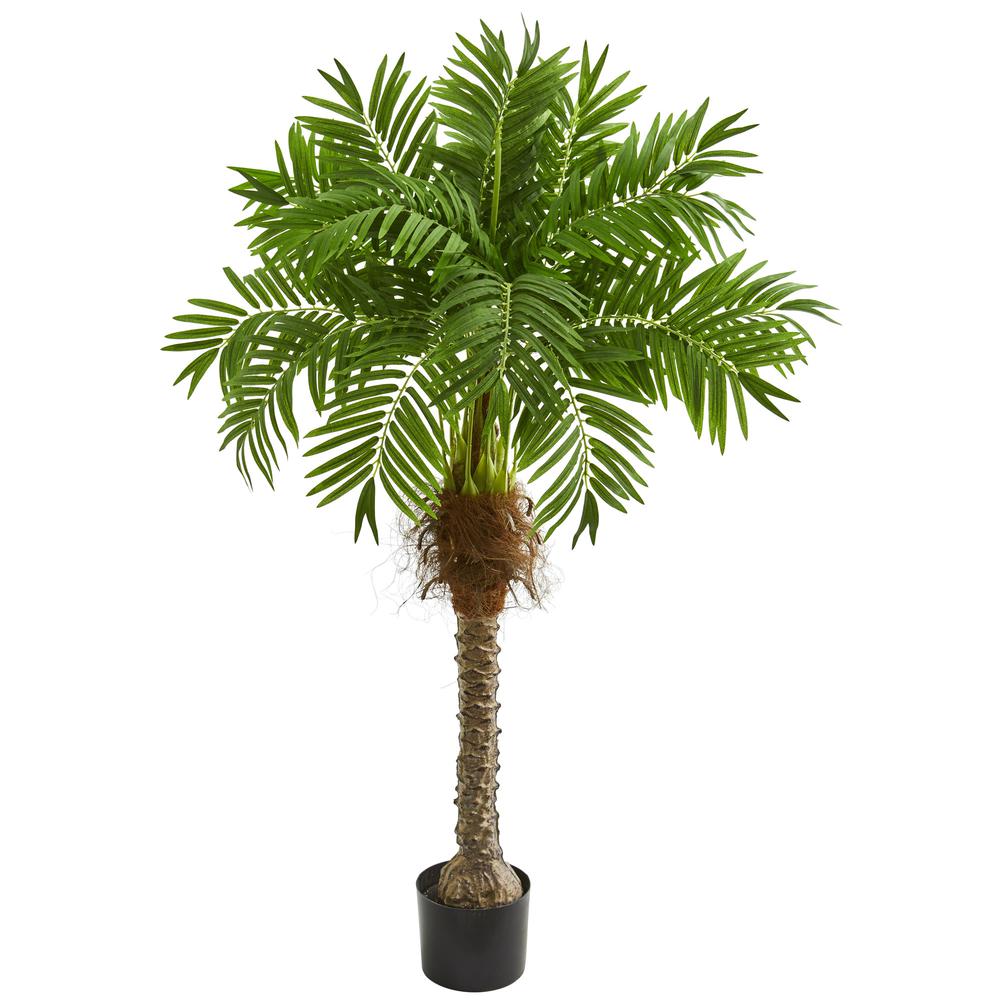58in. Robellini Palm Artificial Tree. Picture 1