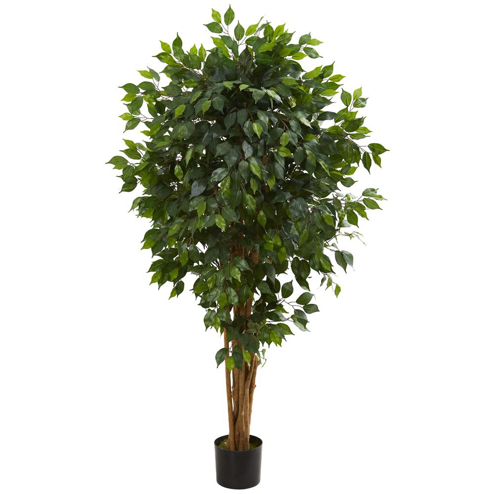 5.5ft. Ficus Artificial Tree. Picture 1