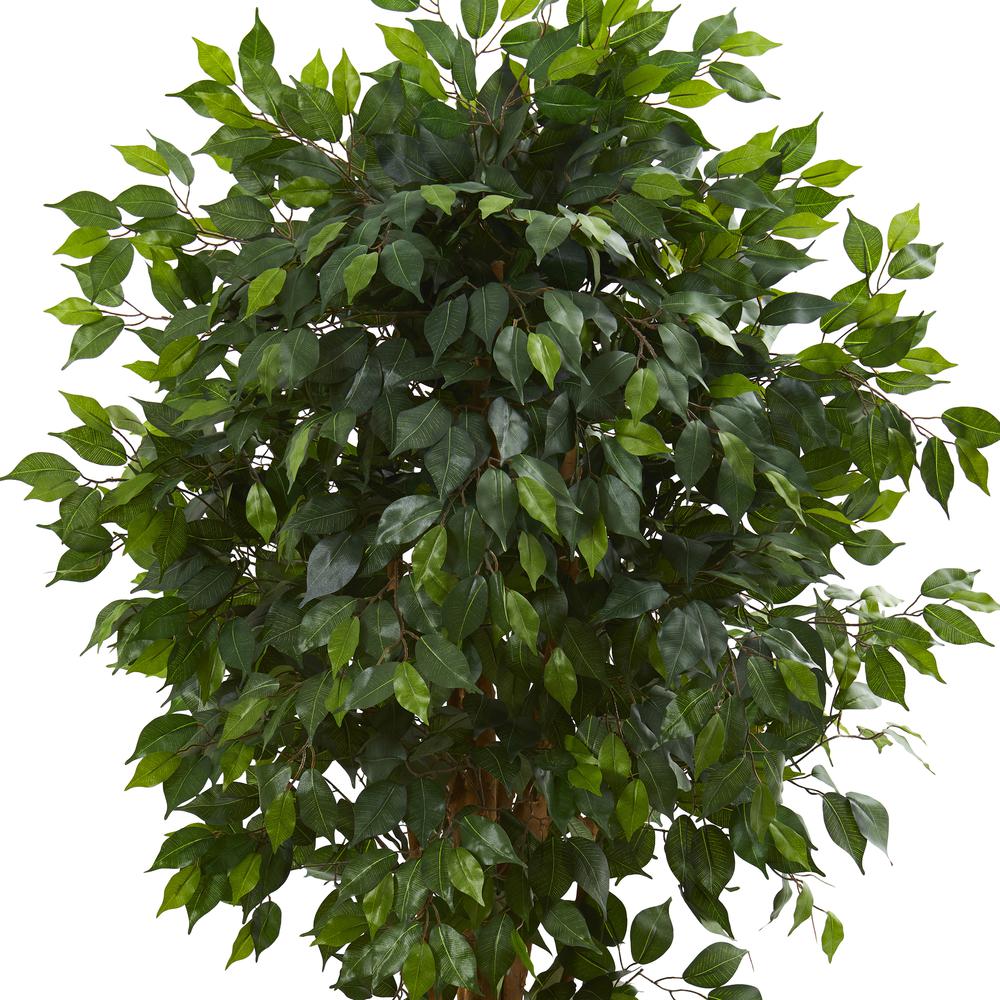 5.5ft. Ficus Artificial Tree. Picture 3
