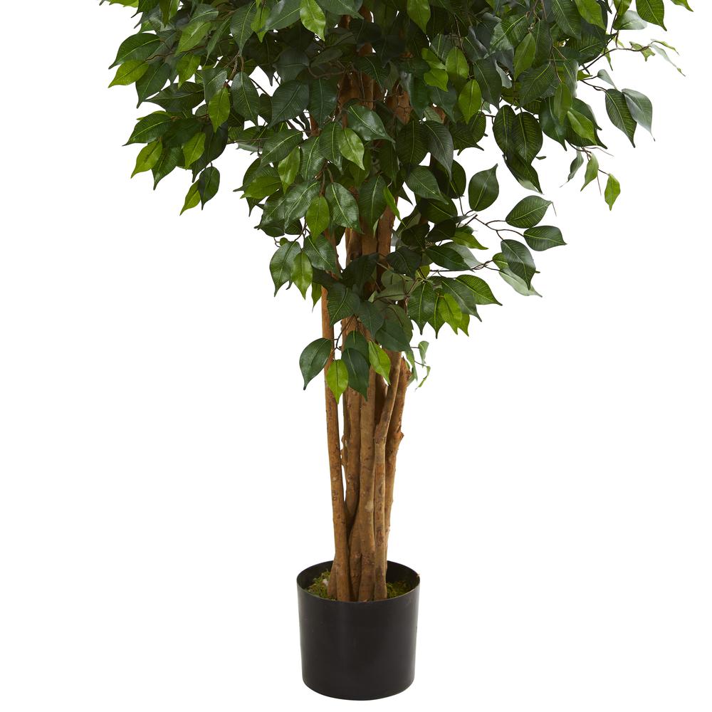 5.5ft. Ficus Artificial Tree. Picture 4