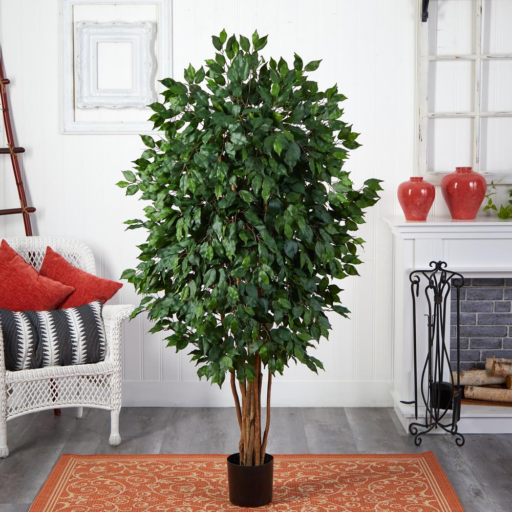 5.5ft. Ficus Artificial Tree. Picture 2