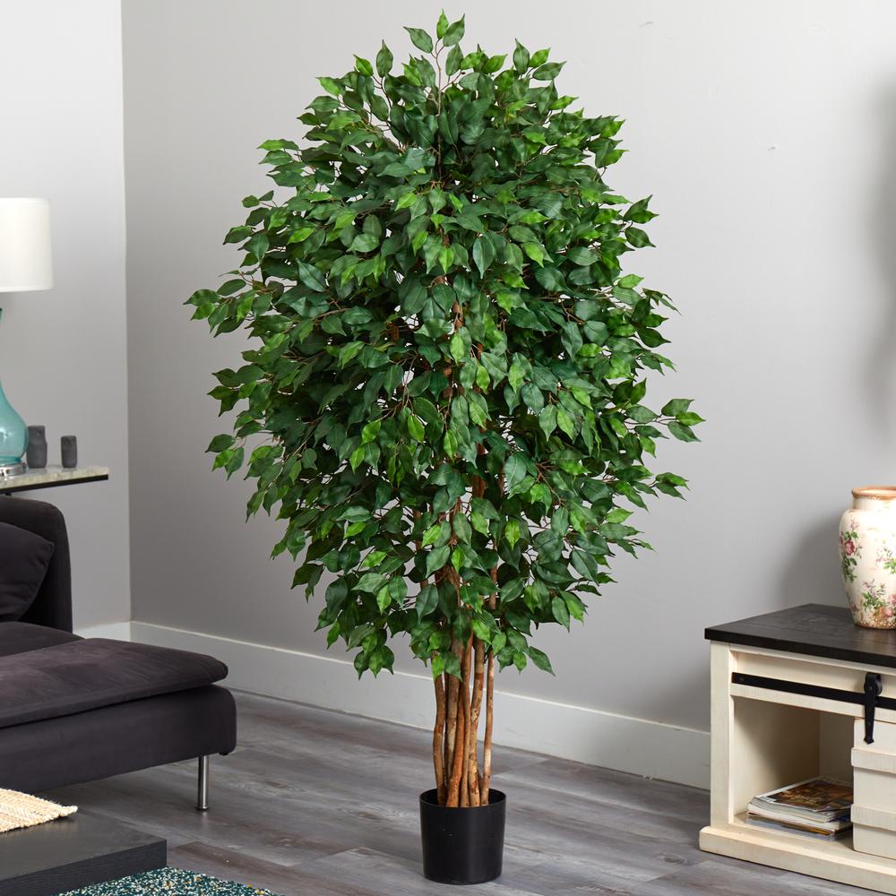 5.5ft. Ficus Artificial Tree. Picture 7