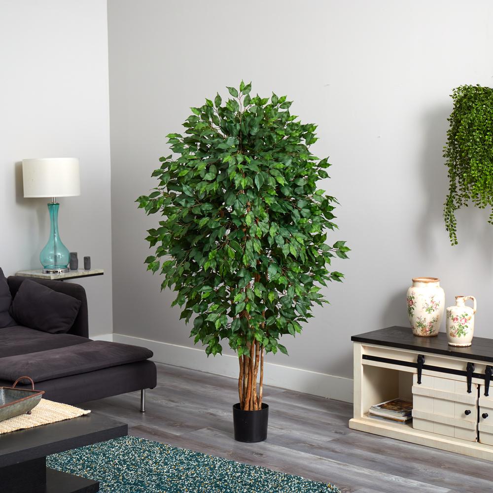 5.5ft. Ficus Artificial Tree. Picture 6