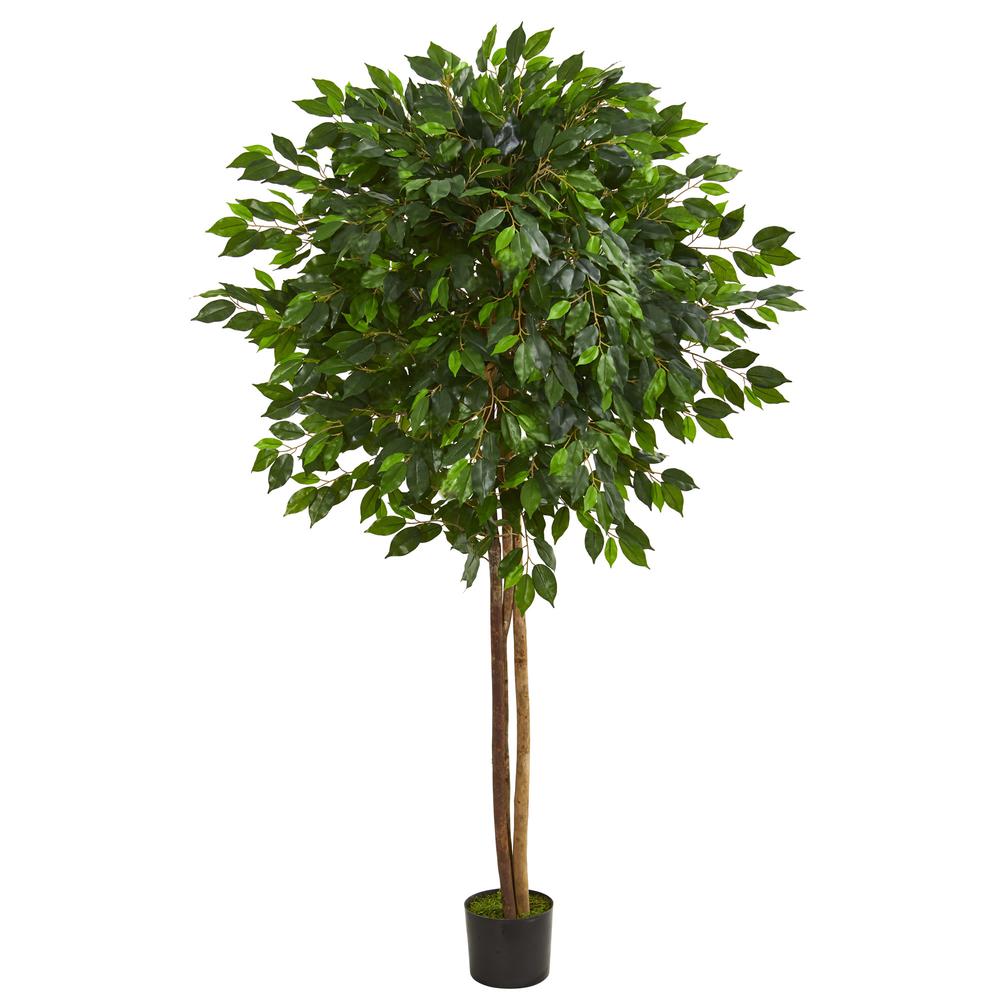 6.5ft. Ficus Artificial Tree. Picture 1