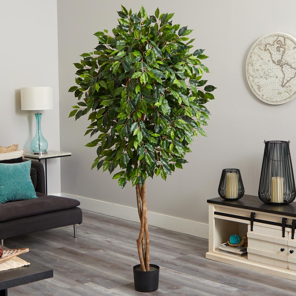 6.5ft. Ficus Artificial Tree. Picture 3