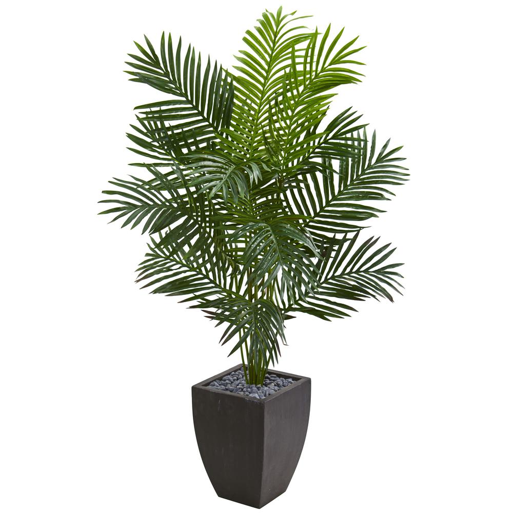 5.5ft. Paradise Artificial Palm Tree in Black Planter. Picture 1