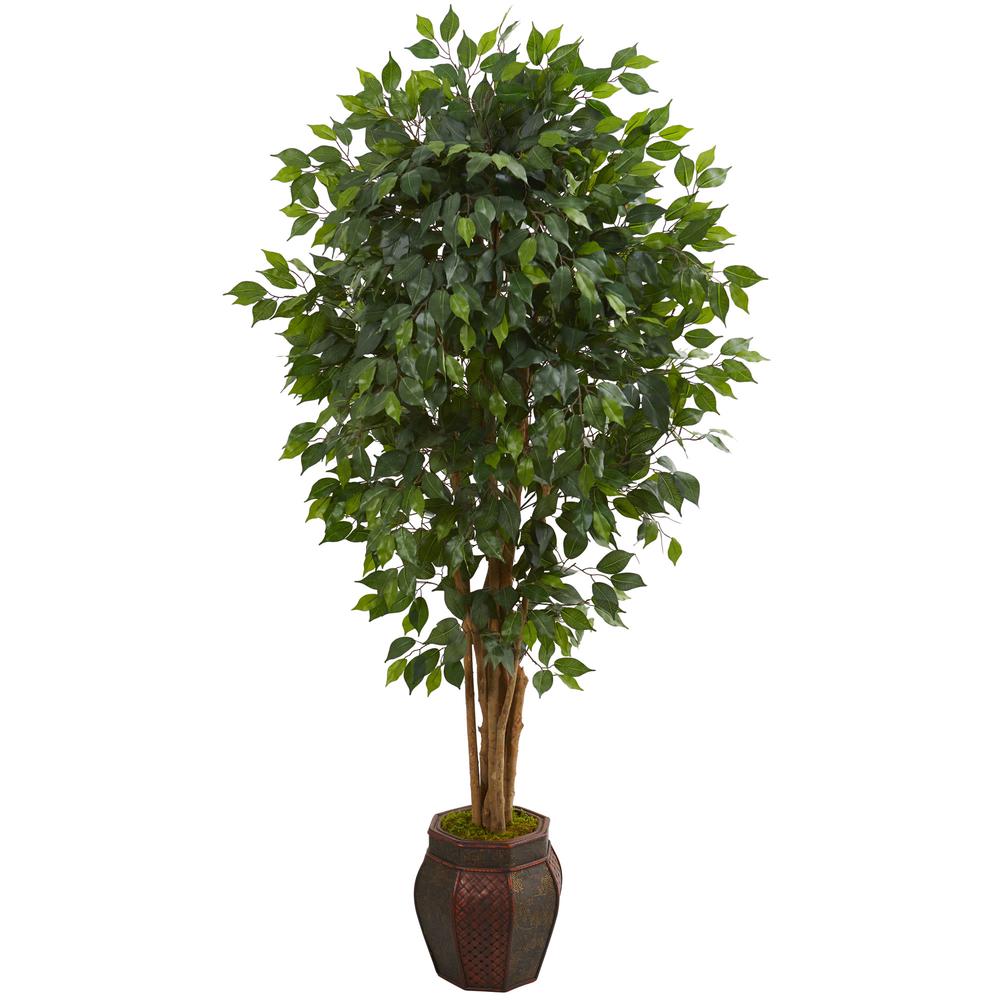 6ft. Ficus Artificial Tree in Decorative Planter. Picture 1