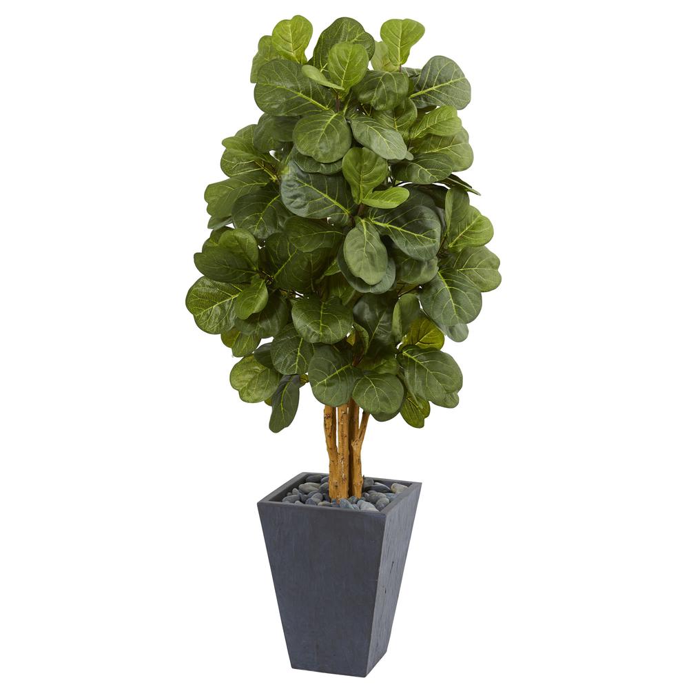 5.5ft. Fiddle Leaf Artificial Tree in Slate Planter. Picture 1