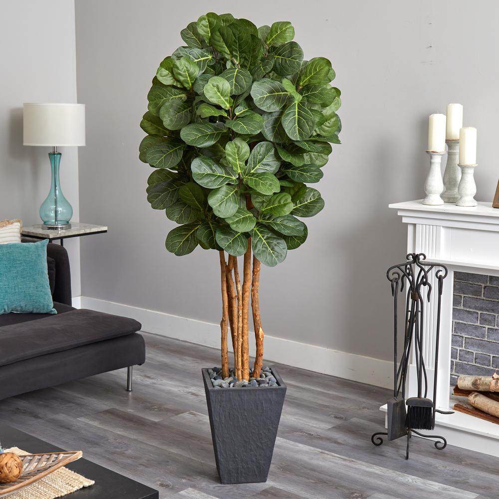 5.5ft. Fiddle Leaf Artificial Tree in Slate Planter. Picture 3