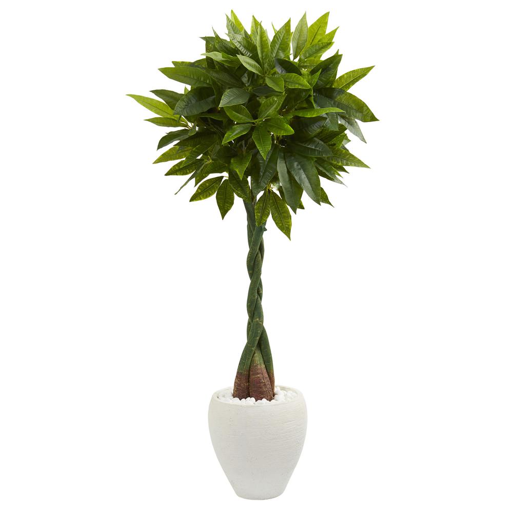 5ft. Money Artificial Tree in White Oval Planter (Real Touch. Picture 1