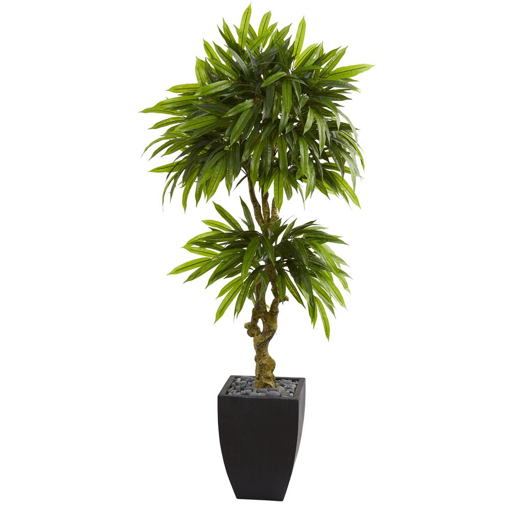 5.5ft. Mango Artificial Tree in Black Wash Planter UV Resistant (Indoor/Outdoor). Picture 1