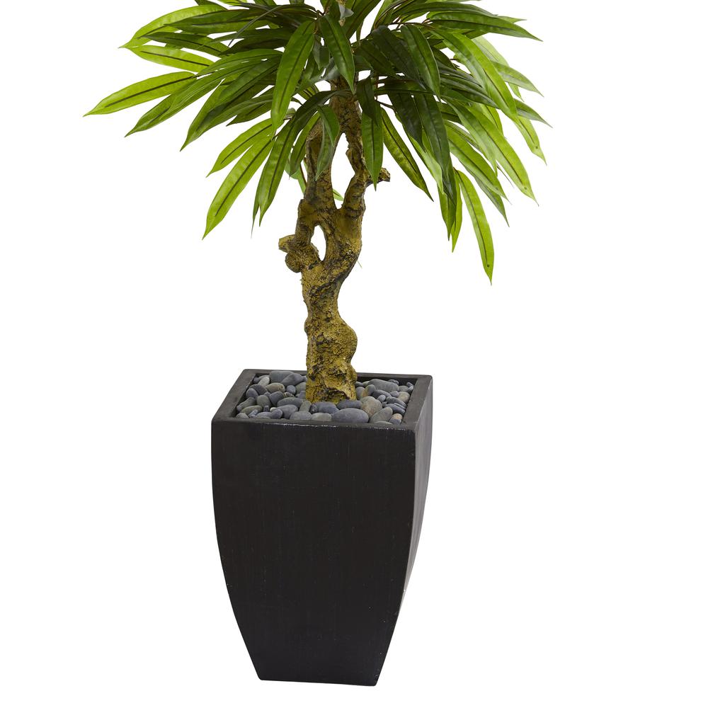 5.5ft. Mango Artificial Tree in Black Wash Planter UV Resistant (Indoor/Outdoor). Picture 3