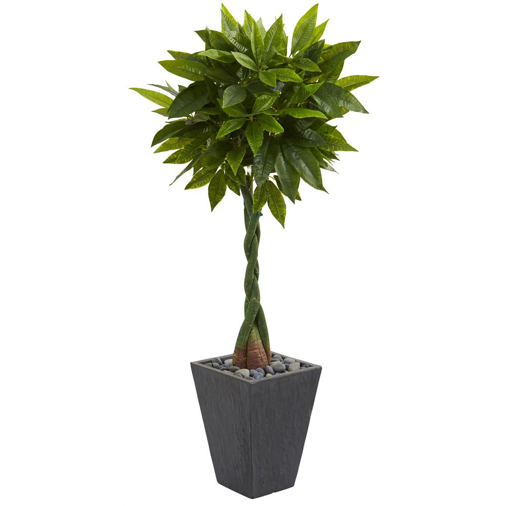 5ft. Money Artificial Tree in Slate Planter (Real Touch). Picture 1