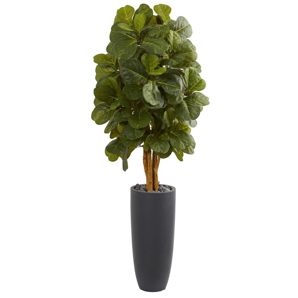 5.5ft. Fiddle Leaf Artificial Tree in Gray Cylinder Planter. Picture 1