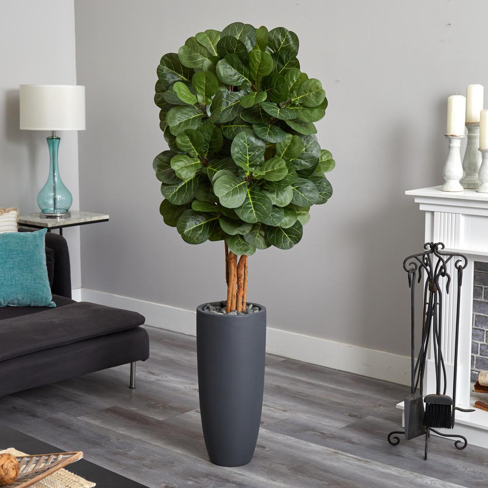5.5ft. Fiddle Leaf Artificial Tree in Gray Cylinder Planter. Picture 3