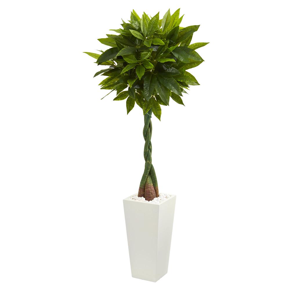 5.5ft. Money Artificial Tree in White Tower Planter (Real Touch). Picture 1