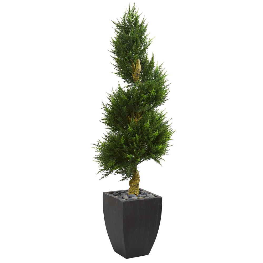 5.5ft. Cypress Spiral Artificial Tree in Black Wash Planter UV Resistant (Indoor/Outdoor). Picture 1