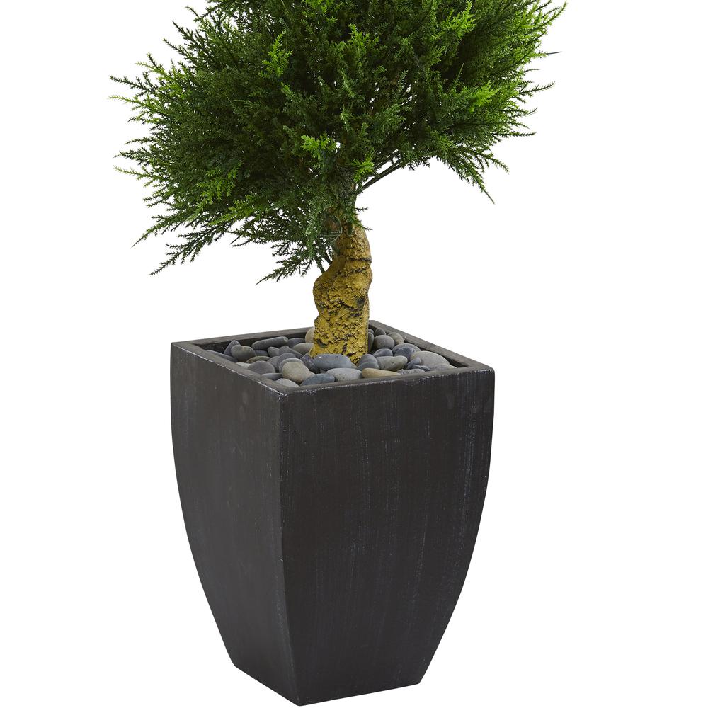 5.5ft. Cypress Spiral Artificial Tree in Black Wash Planter UV Resistant (Indoor/Outdoor). Picture 4