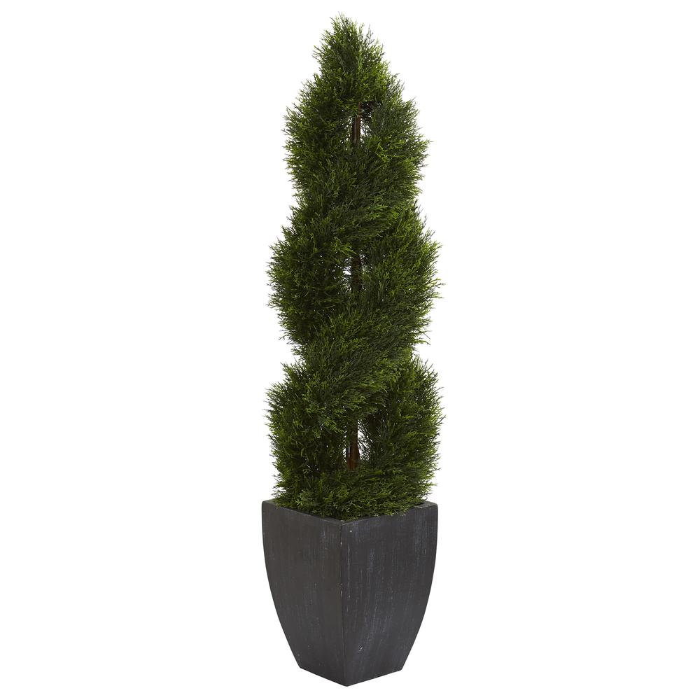 5ft. Double Pond Cypress Spiral Topiary Artificial Tree in Black Wash Planter UV Resistant (Indoor/Outdoor). Picture 1
