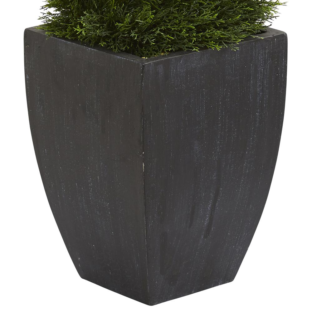 5ft. Double Pond Cypress Spiral Topiary Artificial Tree in Black Wash Planter UV Resistant (Indoor/Outdoor). Picture 4