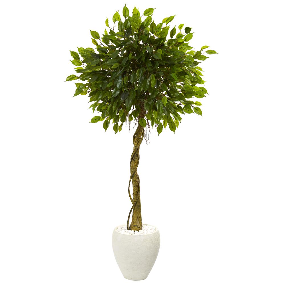 5.5ft. Ficus Artificial Tree in White Oval Planter UV Resistant (Indoor/Outdoor). Picture 1