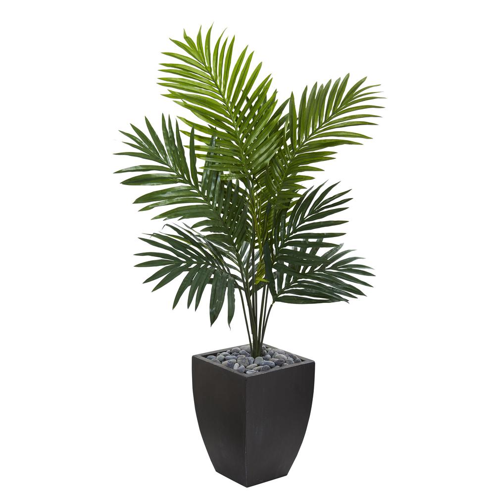 4.5ft. Kentia Palm Artificial Tree in Black Wash Planter. Picture 1