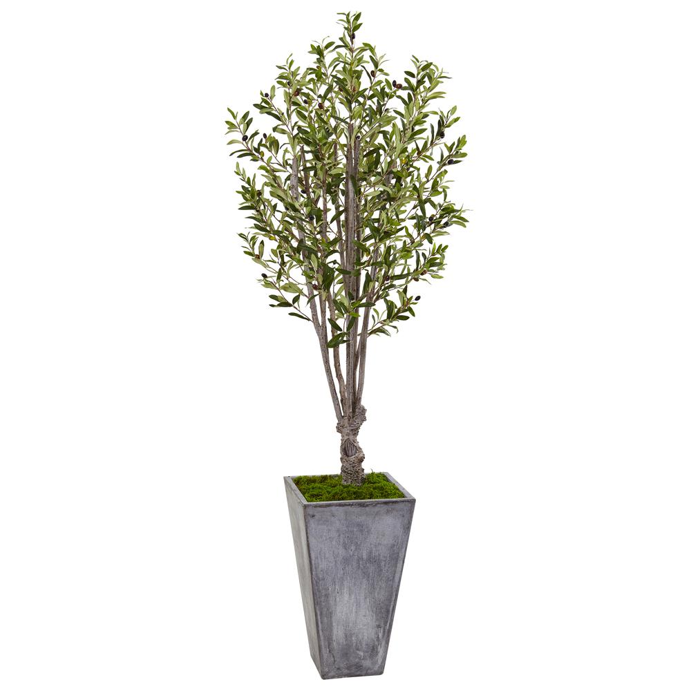 6ft. Olive Artificial Tree in Stone Planter. Picture 1