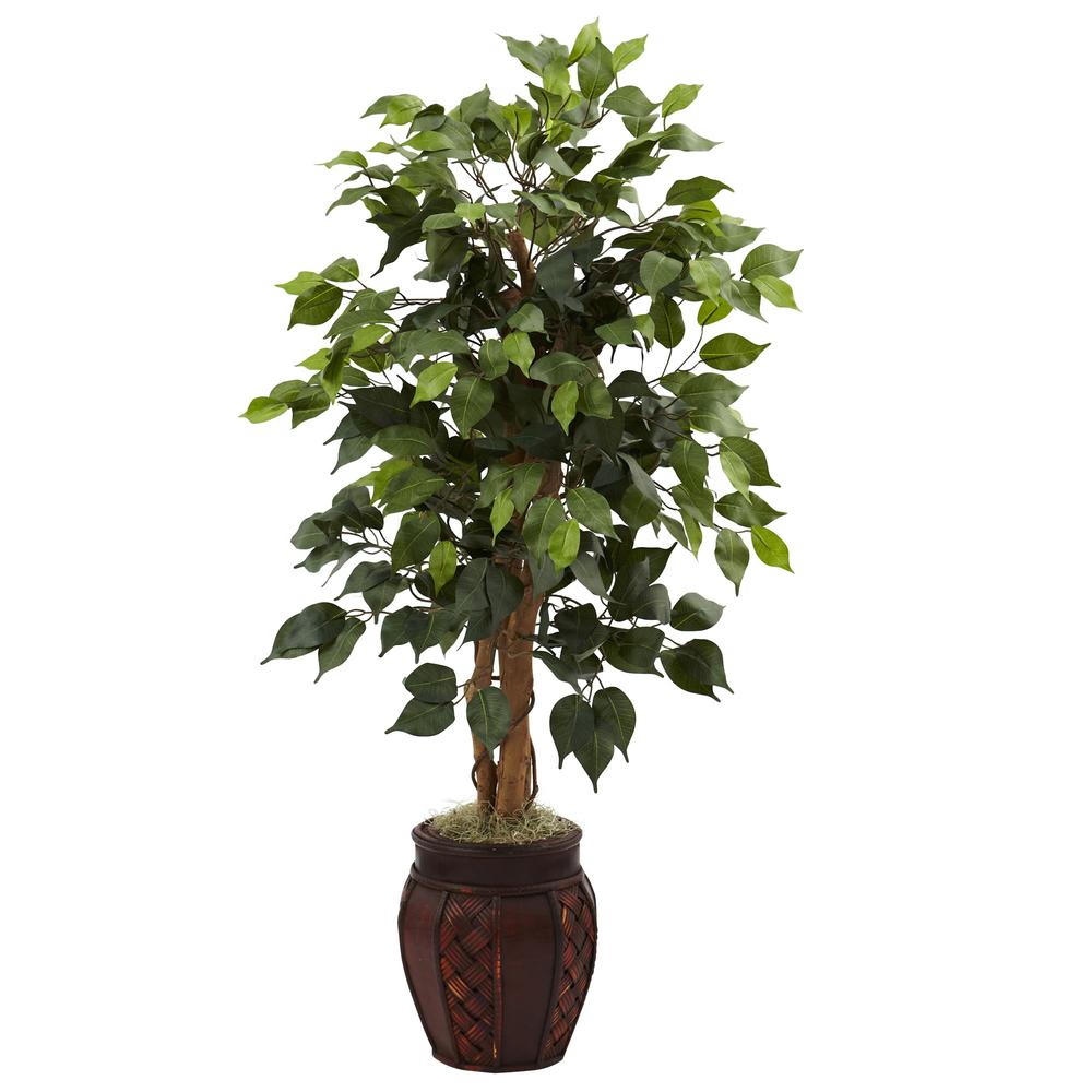 44in. Ficus Tree with Decorative Planter. Picture 1