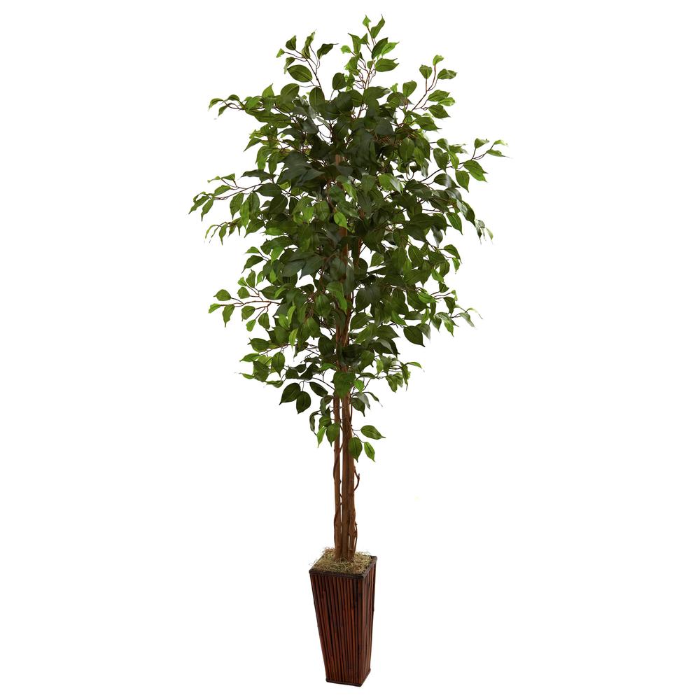 6ft. Ficus Tree with Bamboo Planter. Picture 1
