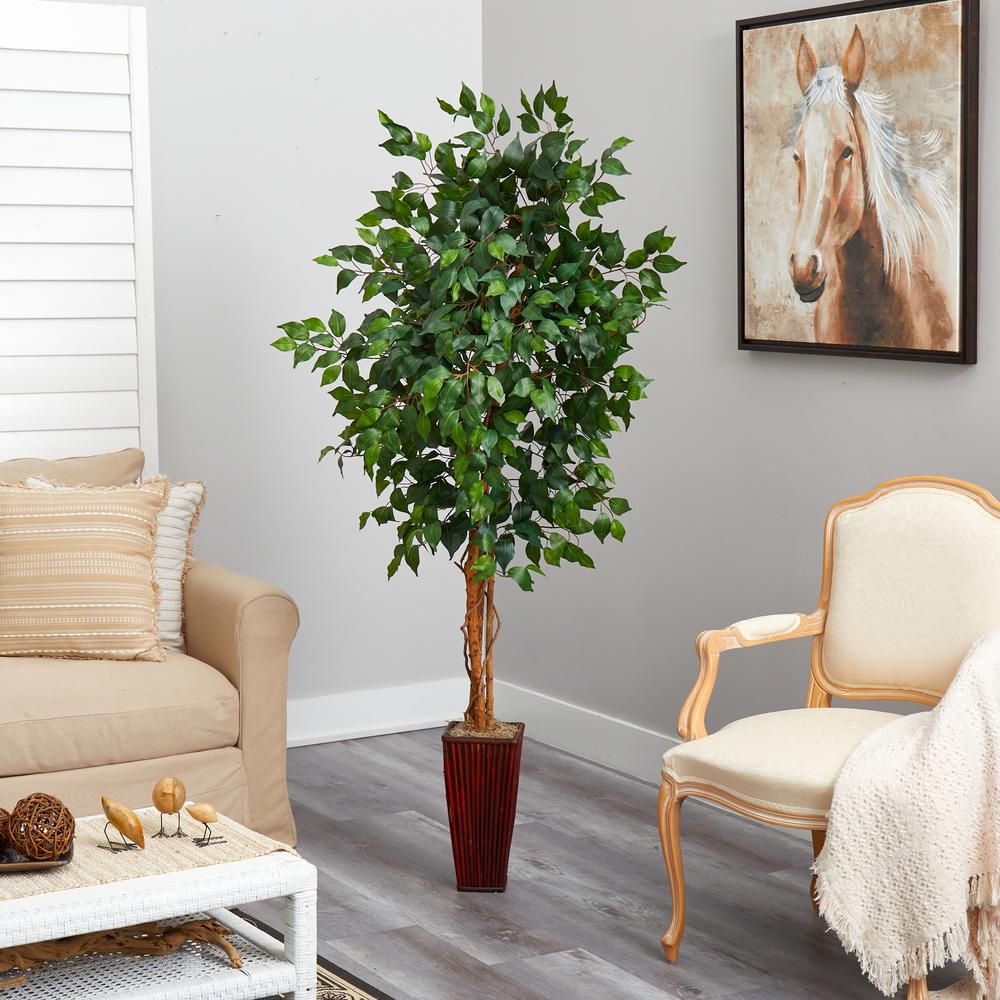 6ft. Ficus Tree with Bamboo Planter. Picture 2