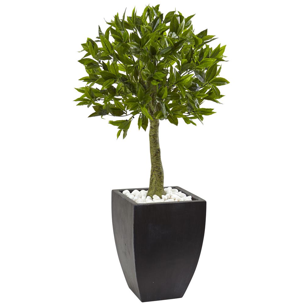 42in. Bay Leaf Topiary with Black Wash Planter UV Resistant (Indoor/Outdoor). Picture 1