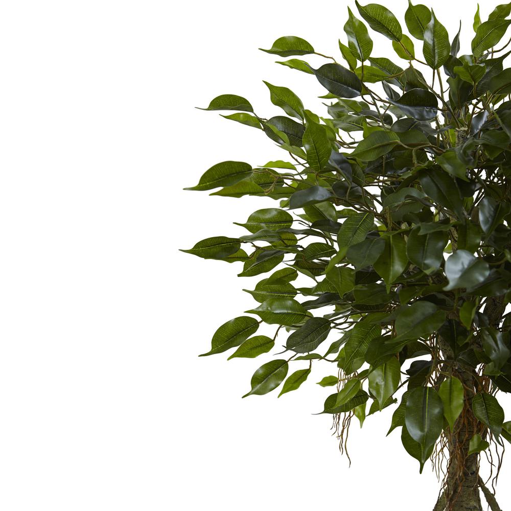 52in. Ficus Tree with White Planter, UV Resistant (Indoor/Outdoor). Picture 3