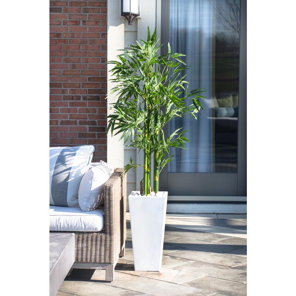 Bamboo Tree with White Planter, UV Resistant (Indoor/Outdoor). Picture 6