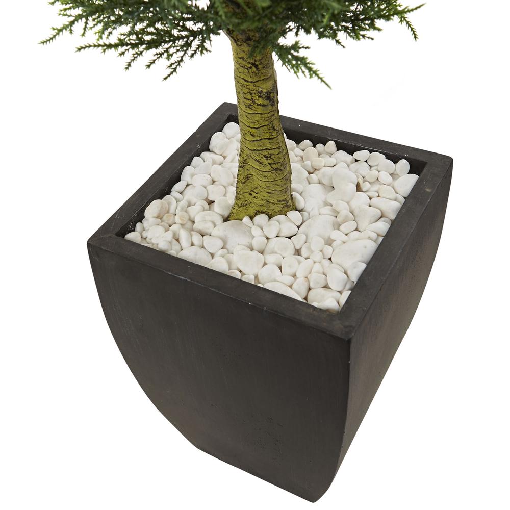 4.5ft. Cypress Topiary with Black Planter, UV Resistant (Indoor/Outdoor). Picture 3