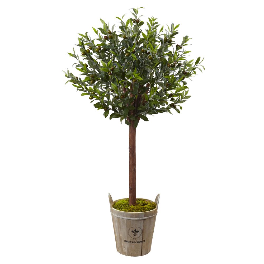4.5ft. Olive Topiary Tree with European Barrel Planter. Picture 1