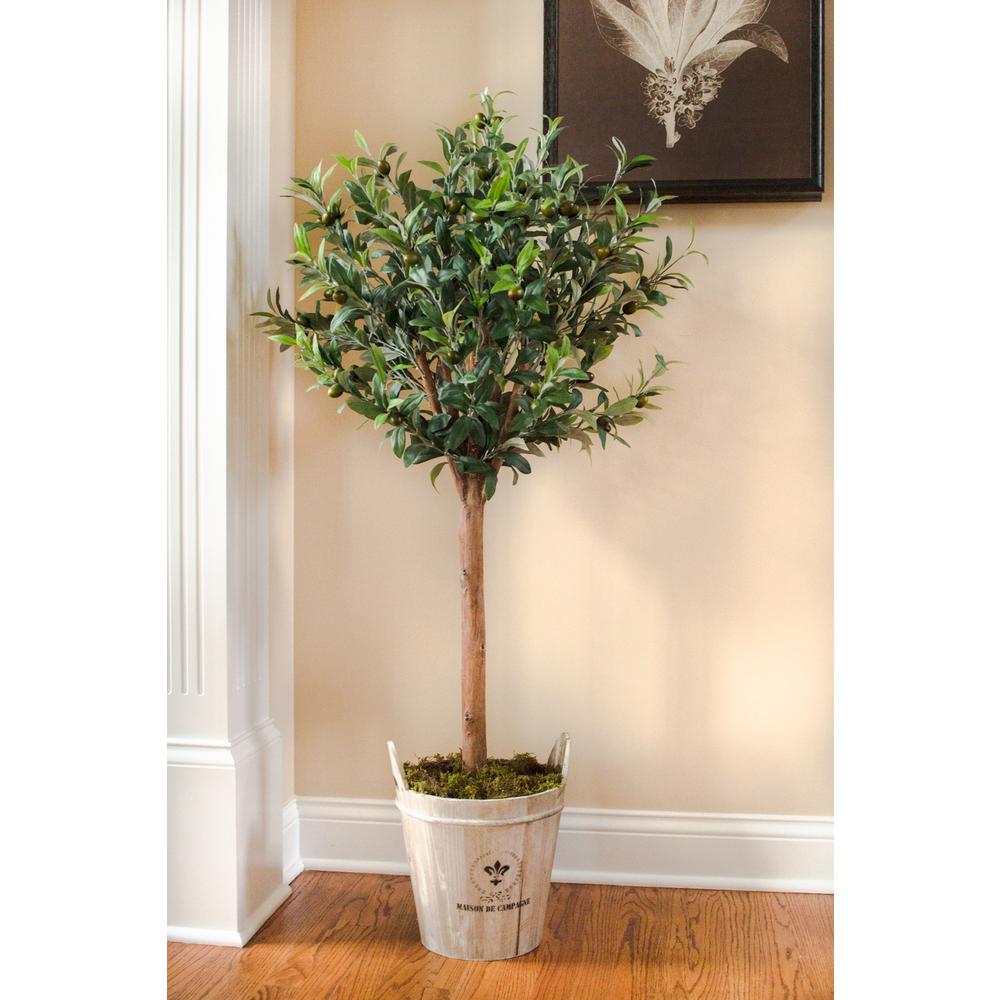 4.5ft. Olive Topiary Tree with European Barrel Planter. Picture 4