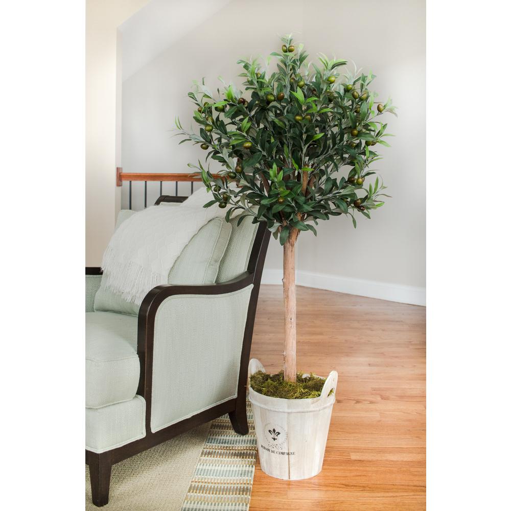 4.5ft. Olive Topiary Tree with European Barrel Planter. Picture 2