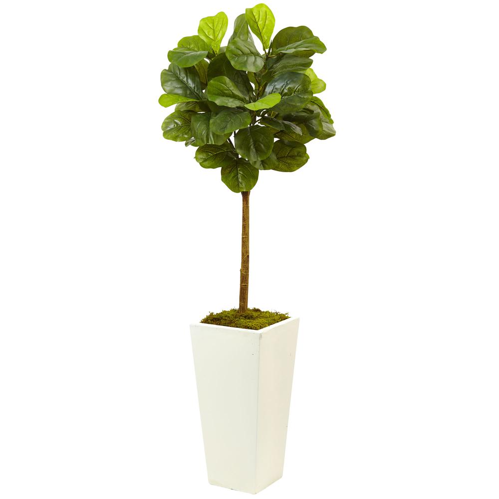 4.5ft. Fiddle Leaf Fig in White Planter (Real Touch). Picture 1