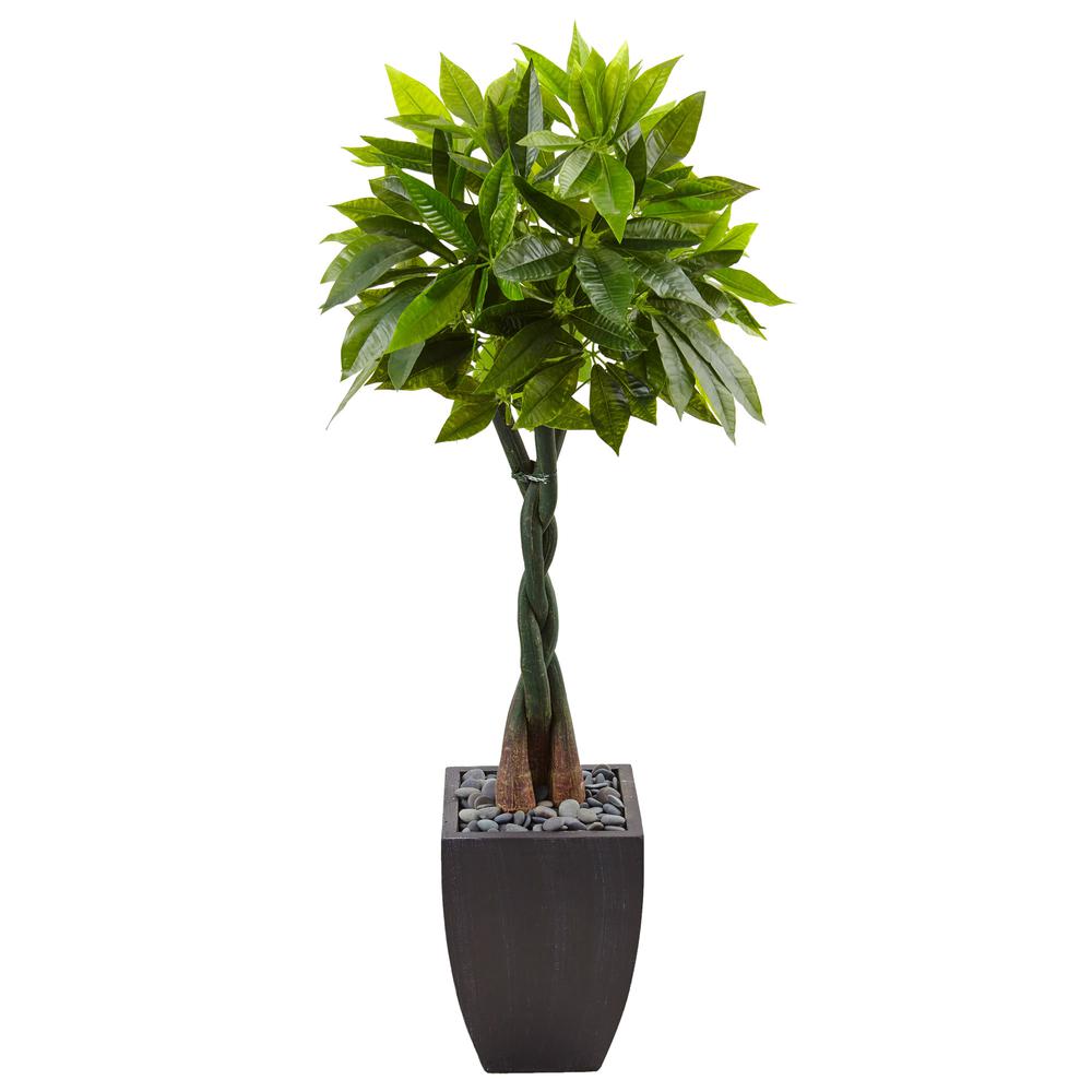 5ft. Money Artificial Tree in Black Square Planter. Picture 1