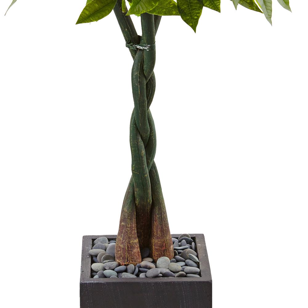 5ft. Money Artificial Tree in Black Square Planter. Picture 3
