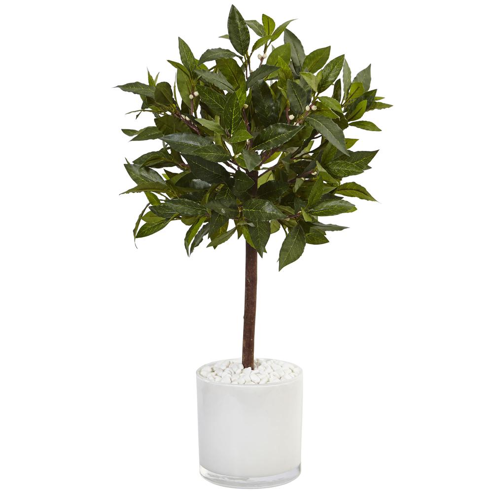 2ft. Sweet Bay Artificial Tree in White Glossy Cylinder. Picture 1