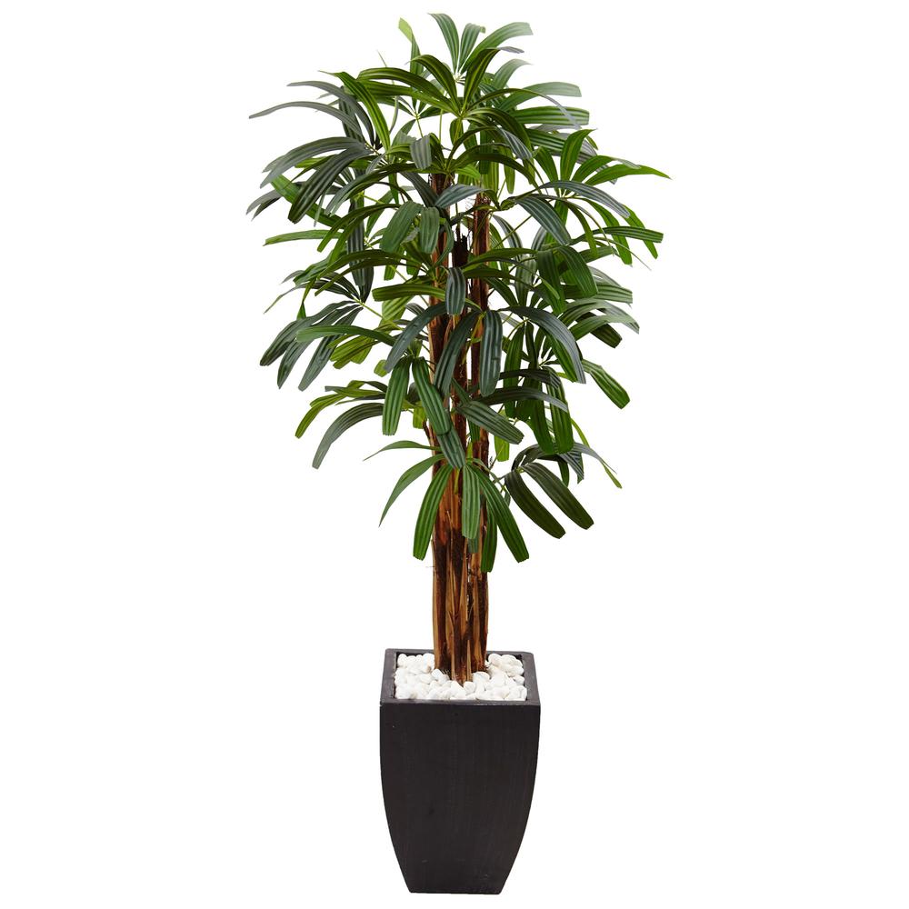 5.5ft. Raphis Palm Artificial Tree in Black Planter. Picture 1