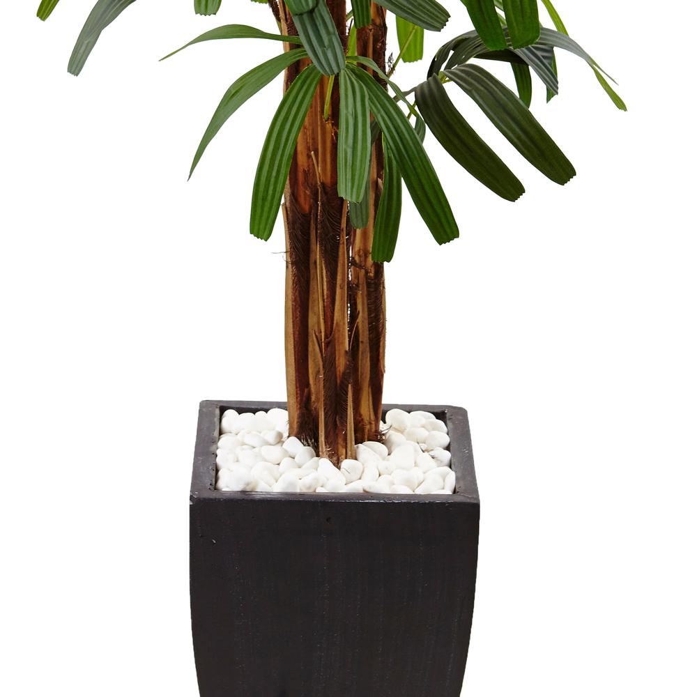 5.5ft. Raphis Palm Artificial Tree in Black Planter. Picture 4