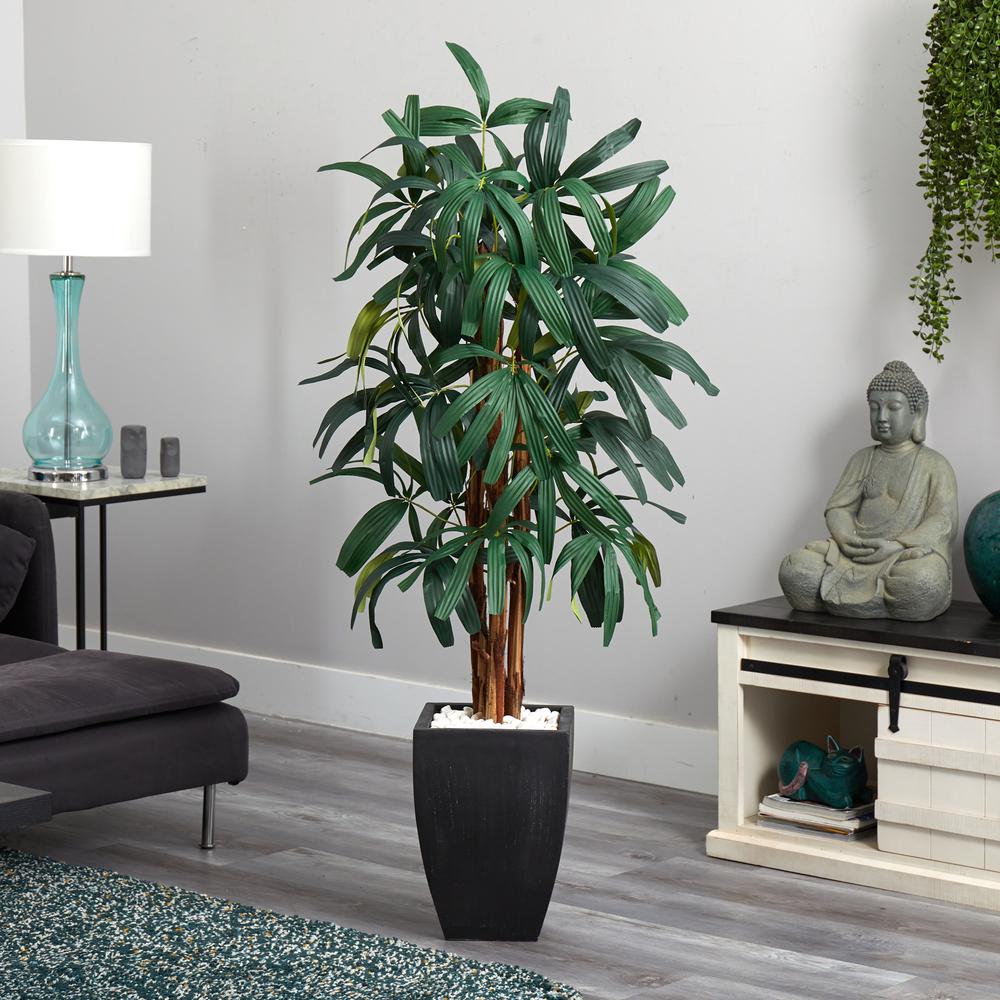 5.5ft. Raphis Palm Artificial Tree in Black Planter. Picture 3