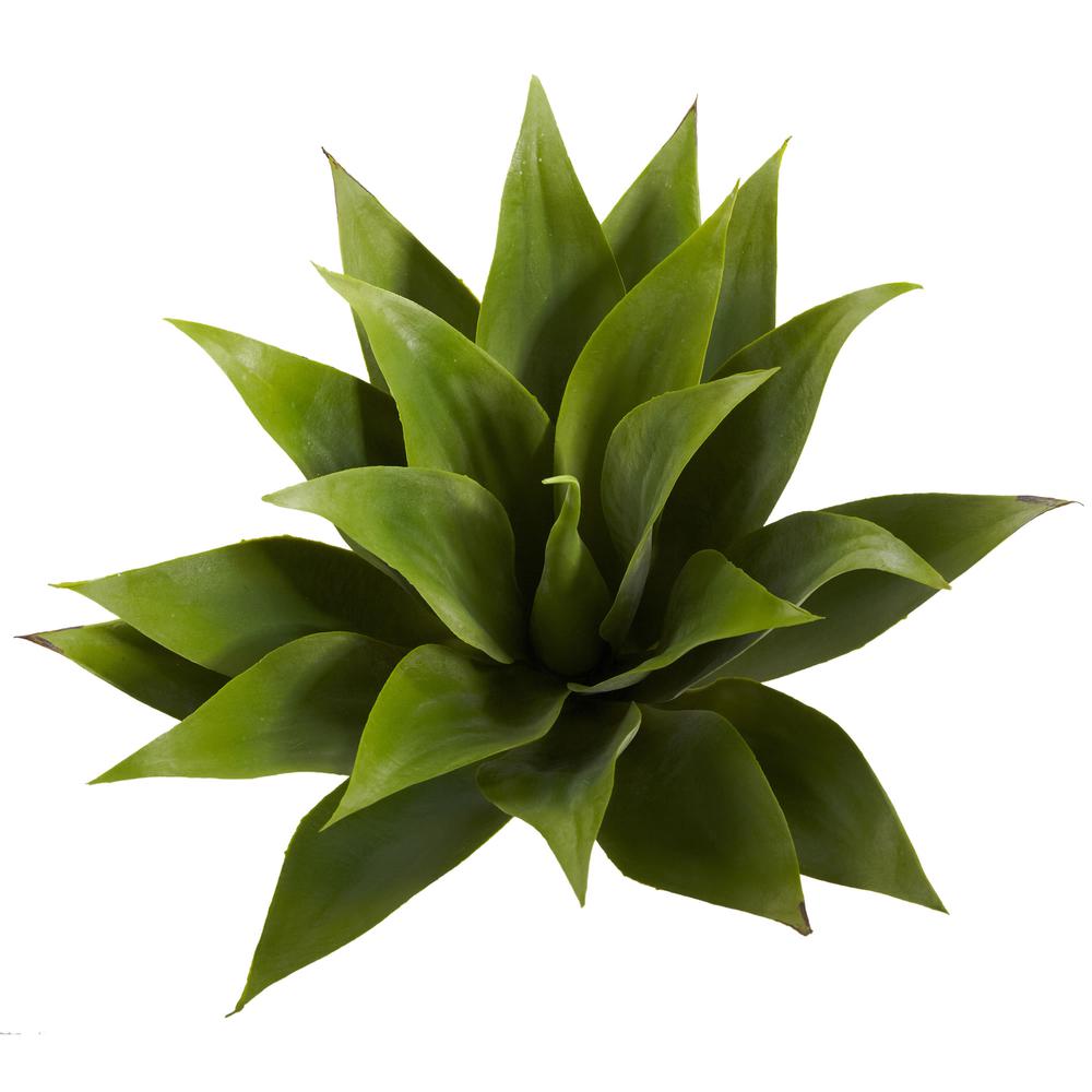 17in. Agave Succulent Plant (Set of 2). Picture 3
