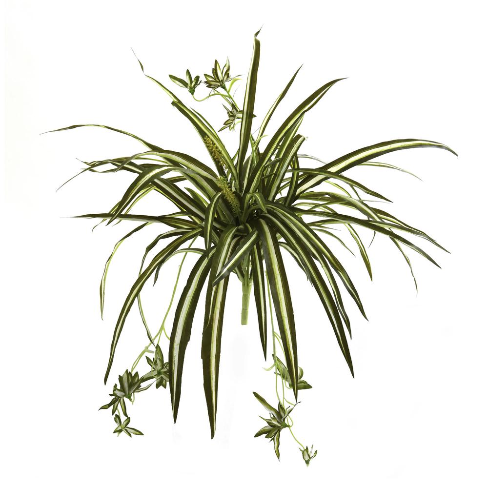 23in. Spider Plant Bush (Set of 4). Picture 1